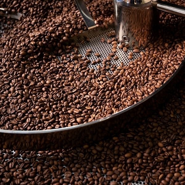 Freshly roasted coffee beans: The benefits of specialty coffee